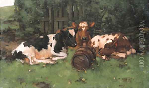 Ayrshire Calves 2 Oil Painting - David Gauld