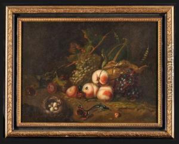 Natura Morta Con Frutta, Nido Con Uova E Farfalle Oil Painting - Otto Marseus Snuff. Van Schrieck