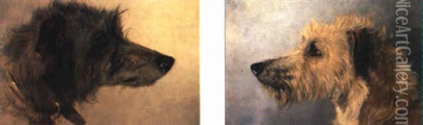Two Studies Of Deerhounds Heads Oil Painting - Richard Ansdell