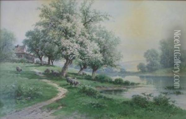 Sheep Grazing Under A Cherry Blossom Tree Oil Painting - Carl Weber