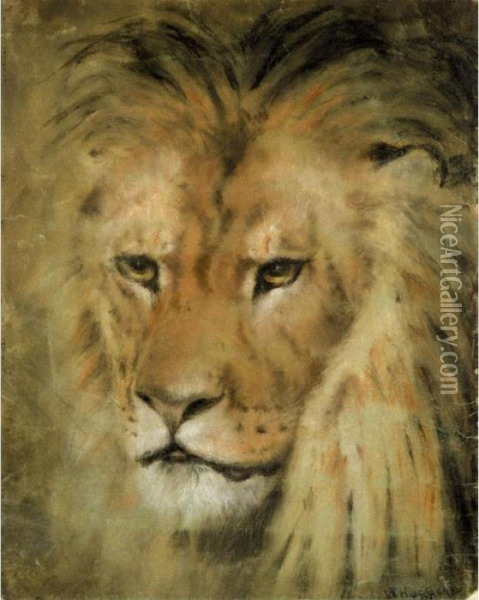 Study Of A Lion's Head Oil Painting - William Huggins