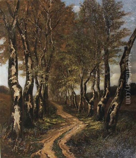 Birch Trees Along A Lane Oil Painting - Carel Nicolaas Storm van 's-Gravensande