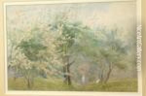 The Spring Walk, With Trees In Blossom Oil Painting - James Stephen Gresley