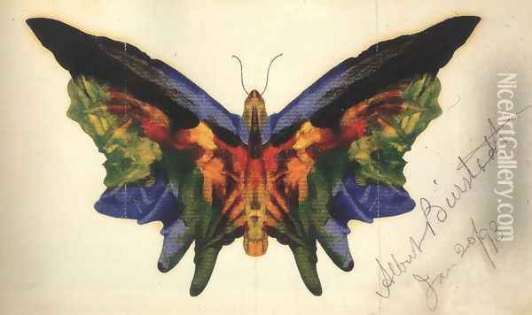 Butterfly 1893 Oil Painting - Albert Bierstadt