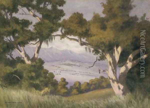 A Vista, Hope Ranch, Santa Barbara, California Oil Painting - George Elbert Burr