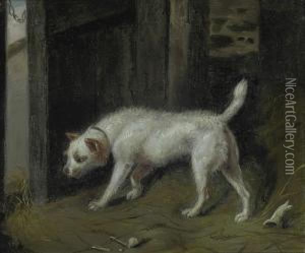 A Inquisitive Terrier Oil Painting - Samuel Raven