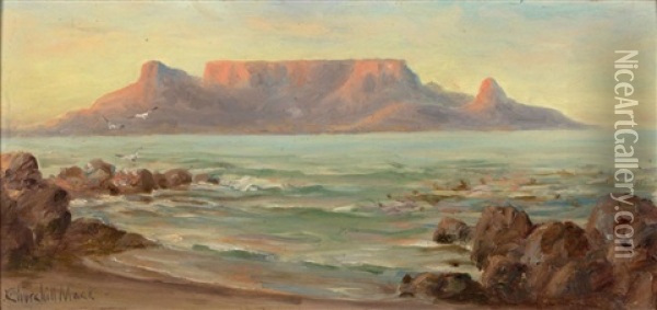 View Of Cape Town Oil Painting - Edward Clark Churchill Mace