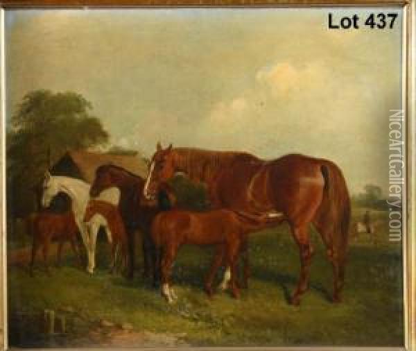 Study Of A Group Of Horses In A 
Field With Young Foalfeeding And Mounted Equestrian Figure Riding In The
 Background Oil Painting - J. Duvall