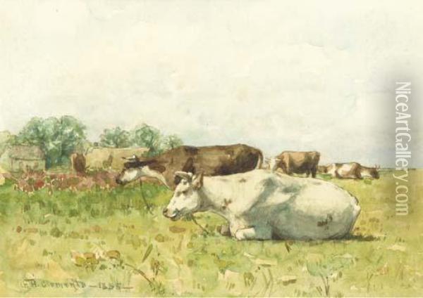 Cattle Resting In A Pasture Oil Painting - George Henry Clements