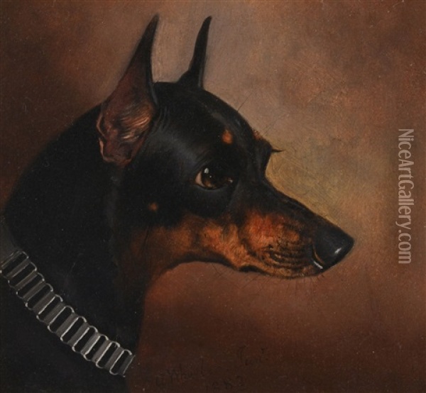 Head Study Of A Manchester Terrier Oil Painting - Alfred Wheeler