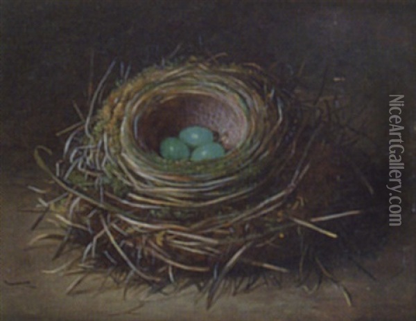 Still Life Of A Bird's Nest Oil Painting - Abel Hold