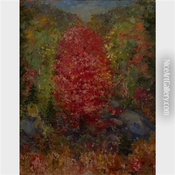 Red Maple Oil Painting - Mary Ella Dignam
