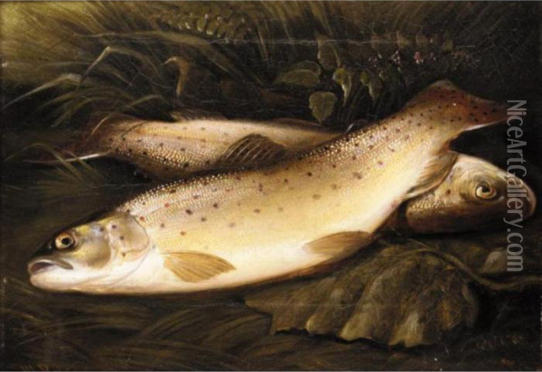 Still Life Of Trout Oil Painting - Henry Leonidas Rolfe