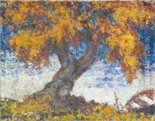 Riverside Tree, Autumn Oil Painting - John Mclaren Barclay