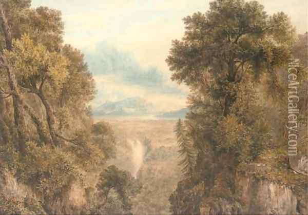 A capriccio wooded landscape with a waterfall Oil Painting - John Glover