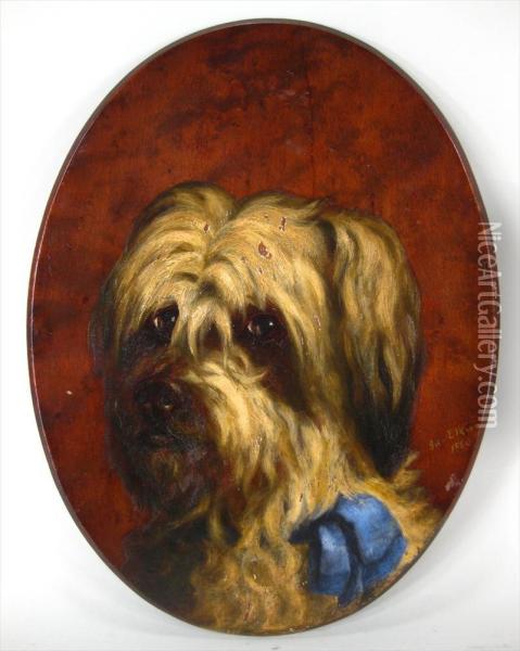 Portrait Of A Terrier Oil Painting - Ida Ilkins
