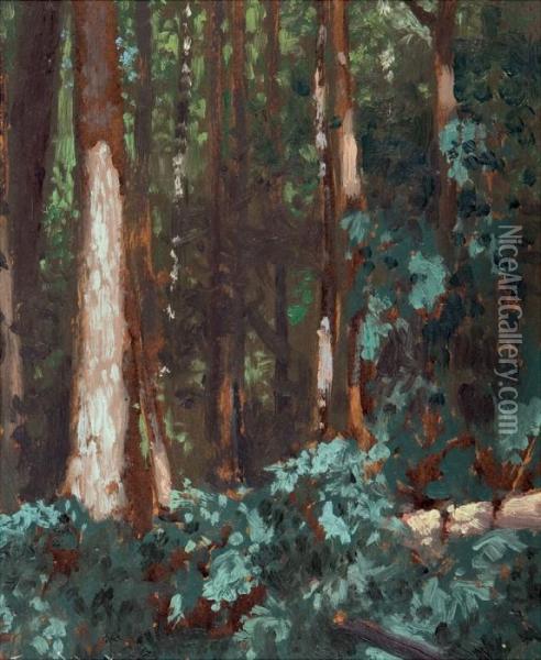 Forest Interior Oil Painting - Franz Hans Johnston