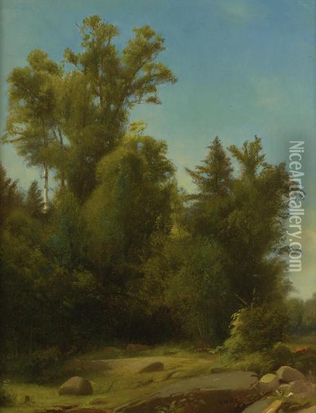 A Wooded Landscape Oil Painting - William Howard Hart