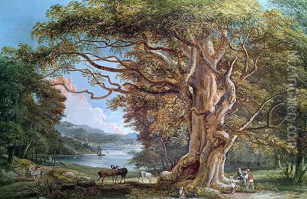 An Ancient Beech Tree, 1794 Oil Painting - Paul Sandby