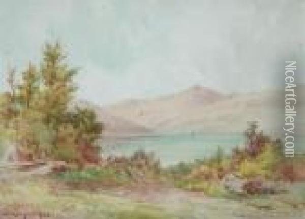 Near Head Of Lake Wakatipu Oil Painting - William Menzies Gibb