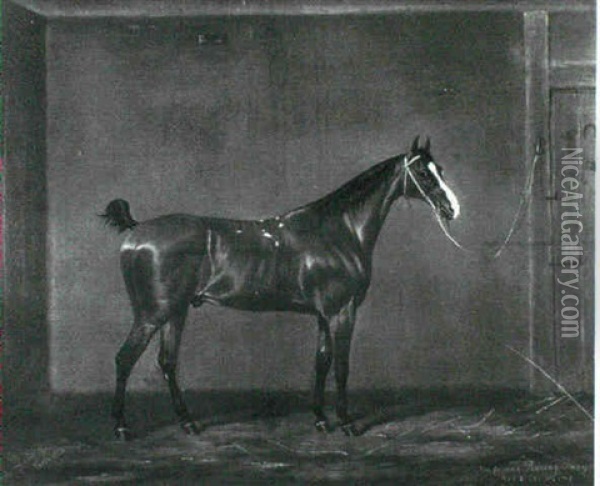 'mat O' The Mint', A Chestnut Racehorse In A Loose Box Oil Painting - James Loder Of Bath
