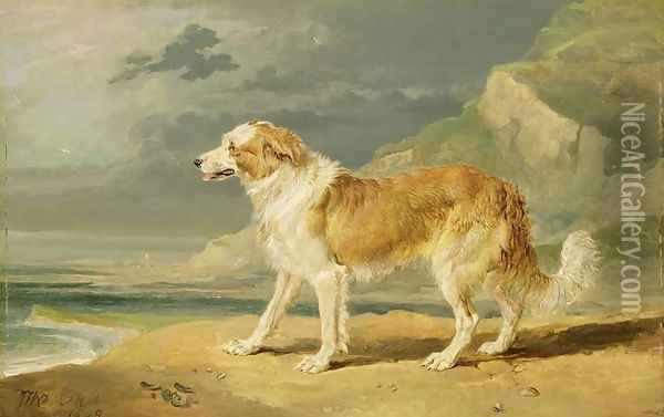 Rough-coated Collie, 1809 Oil Painting - James Ward