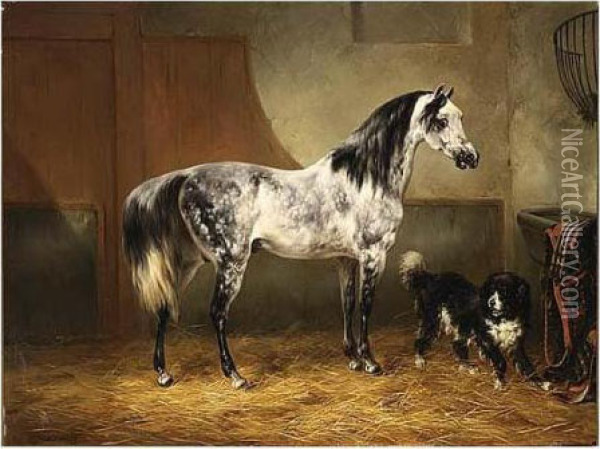 A Horse And A Dog In A Stable Oil Painting - Wouterus Verschuur