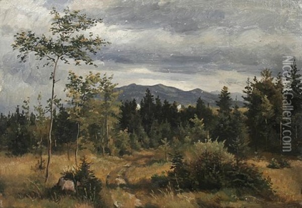 Schwarzwaldlandschaft Oil Painting - Max Wolf