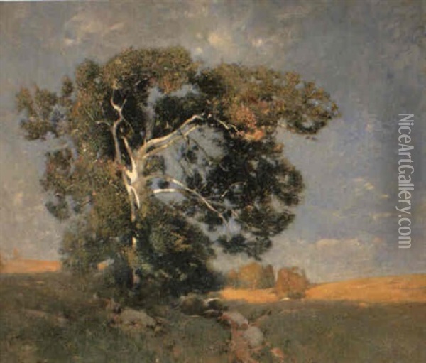 Old Sycamore Oil Painting - Emil Carlsen