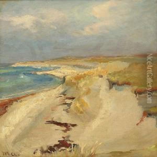 Coastal Scene From Skagen Beach, Denmark Oil Painting - Michael Ancher