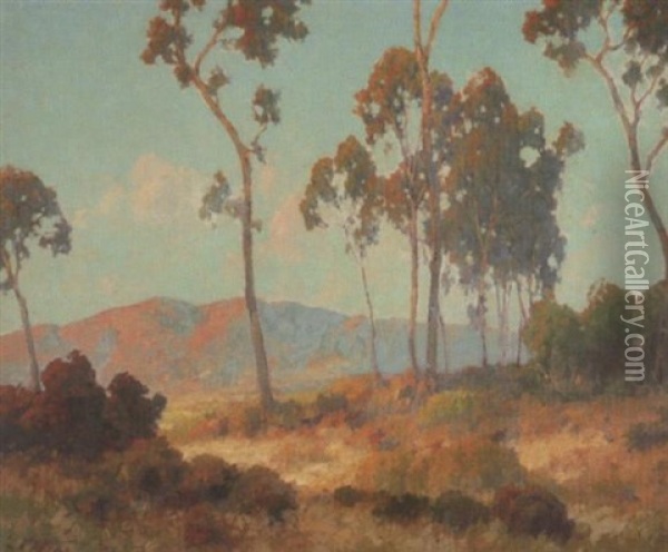Eucalyptus And Distant Mountains Oil Painting - Maurice Braun