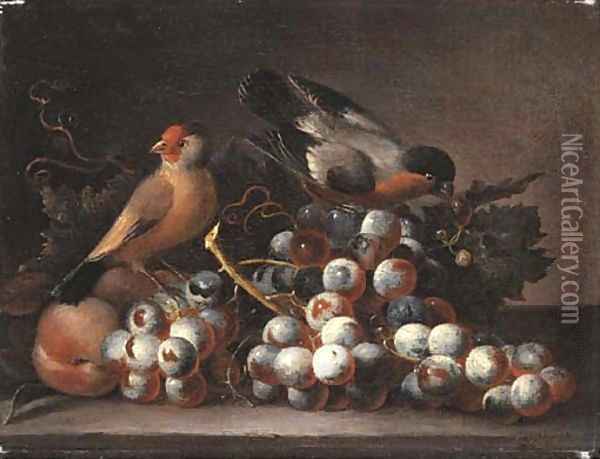 Grapes on the vine and peaches with two finches on a ledge Oil Painting - Jacob Bogdani
