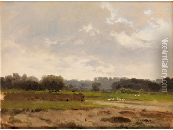 Sommerliche Moorlandschaft Oil Painting - Roman Kochanowski