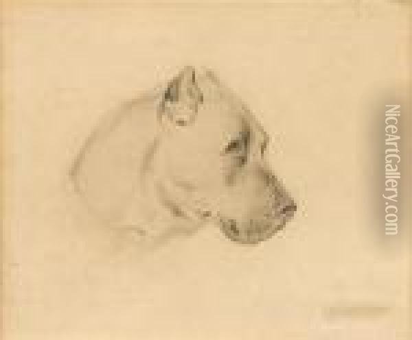 Portrait Of A Dog Oil Painting - Landseer, Sir Edwin