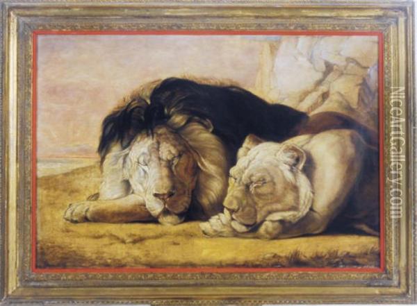 A Sleeping Lion And His Lioness Oil Painting - William Huggins