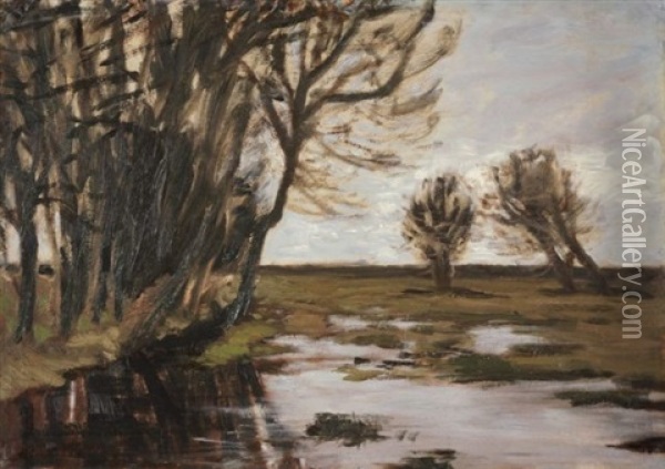 Uberschwemmte Hammewiesen (uberschwemmung) Oil Painting - Hans am Ende