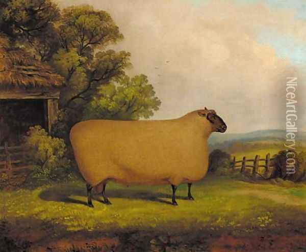 A prize ram in a field Oil Painting - English Provincial School