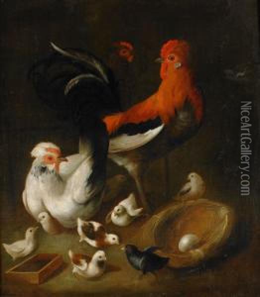 Honsfaglar Och Duvor - 1 Par Oil Painting - Jacomo (or Victor, Jacobus) Victors