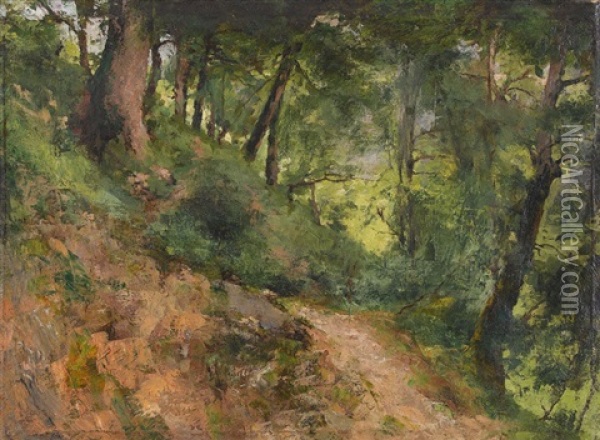Lichter Gebirgswald Oil Painting - Eduard Hippolyte Margottet