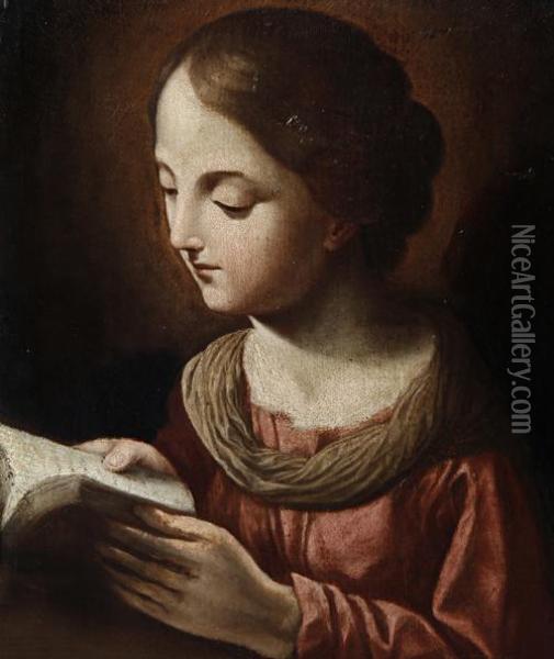 The Madonna Reading Oil Painting - Carlo Cignani