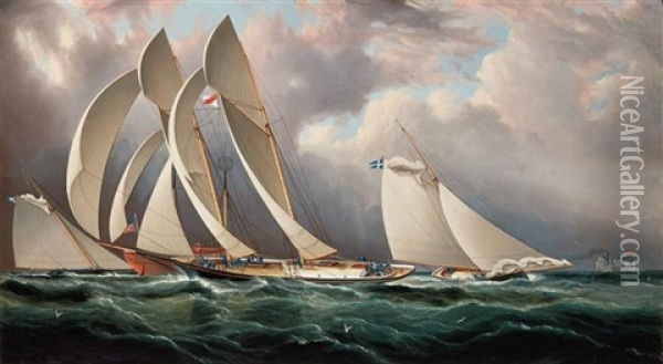 Yacht Racing Off Sandy Hook Oil Painting - James Edward Buttersworth
