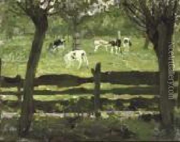 The White Bull Calf Oil Painting - Piet Mondrian