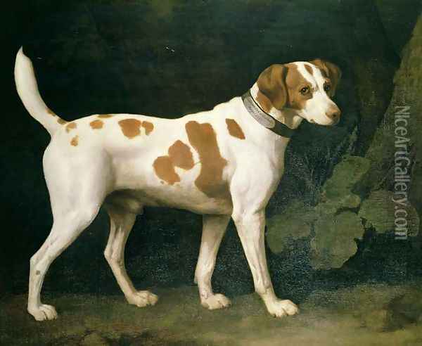 Portrait of a Hound belonging to William Pitt, 1st Earl of Chatham, 1788 Oil Painting - George Stubbs