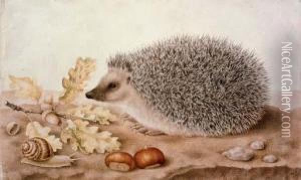 A Hedgehog In A Landscape Oil Painting - Giovanna Garzoni