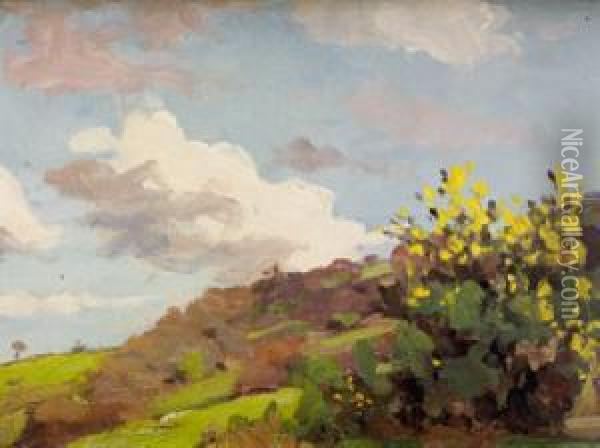 Gorse Bushes Oil Painting - Michael Healy