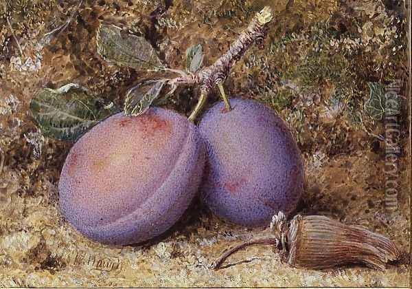 Plums and a cob nut Oil Painting - William B. Hough