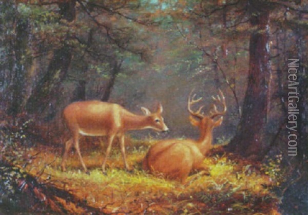 Deer In A Landscape Oil Painting - James Hope