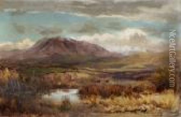 Mckenzie Country Oil Painting - James Peele