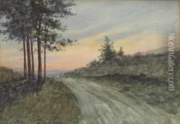 A Country Road Oil Painting - William Percy French