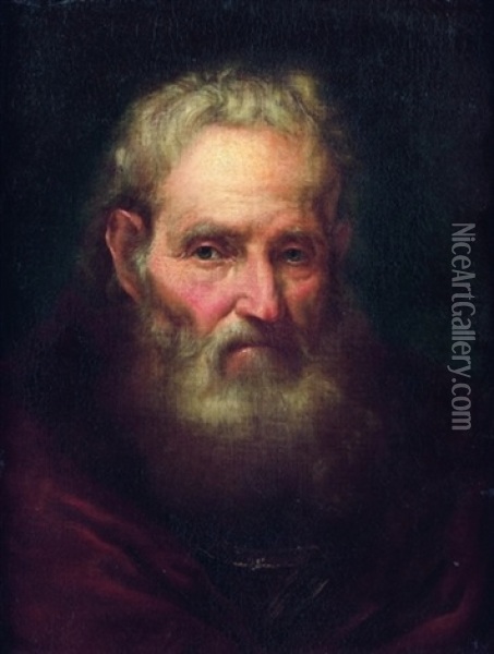 Portrait D'homme Barbu En Buste Oil Painting - Giuseppe Nogari